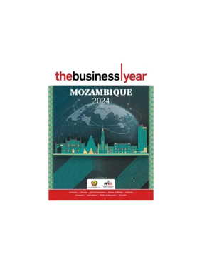 Cover of The Business Year