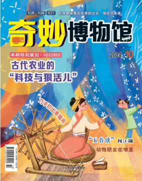 Cover of Qimiao Museum
