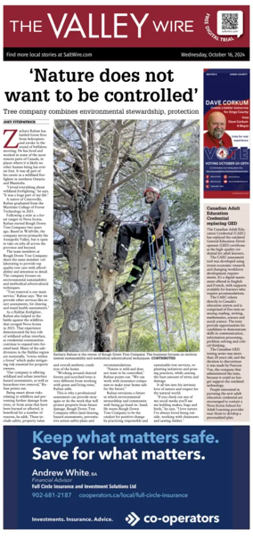 Cover of The Valley Wire