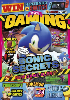 Cover of 110% Gaming