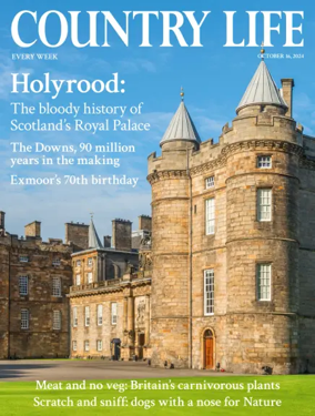 Cover of Country Life