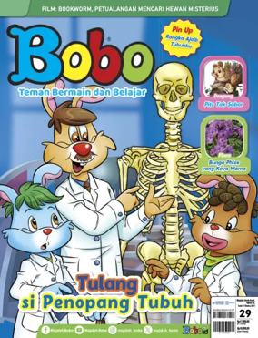 Cover of Bobo