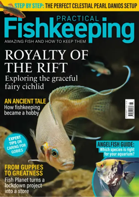 Cover of Practical Fishkeeping