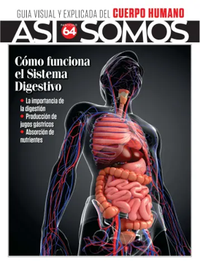 Cover of Asi Somos