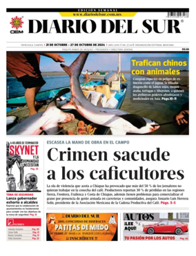 Cover of Diario del Sur