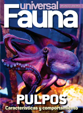Cover of Fauna universal