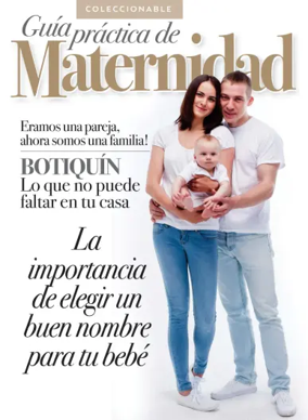 Cover of Guia Practica de Maternidad