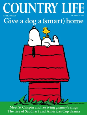 Cover of Country Life