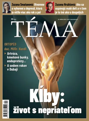 Cover of Téma