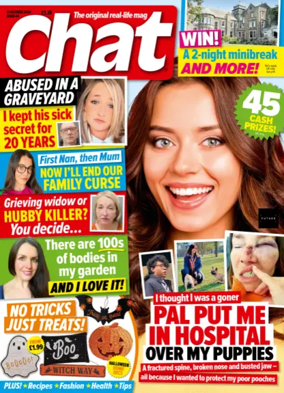 Cover of Chat