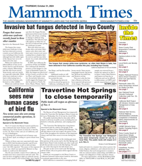 Cover of Mammoth Times