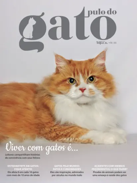 Cover of Pulo do gato