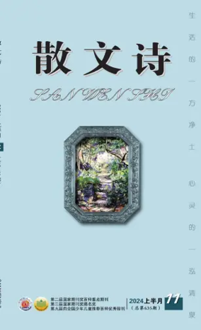 Cover of San Wen Shi