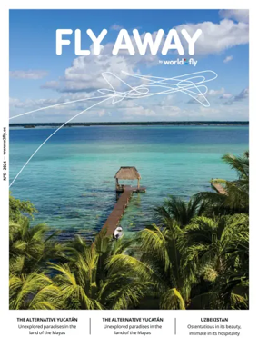 Cover of Fly Away (English)