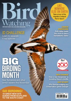 Cover of Bird Watching (UK)