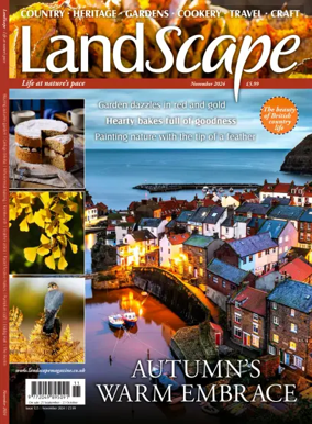 Cover of Landscape (UK)