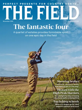 Cover of The Field
