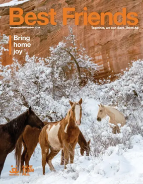 Cover of Best Friends