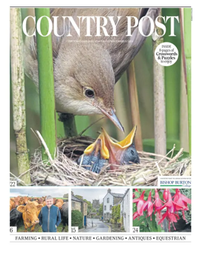 Cover of Country Week