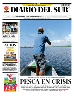 Cover of Diario del Sur
