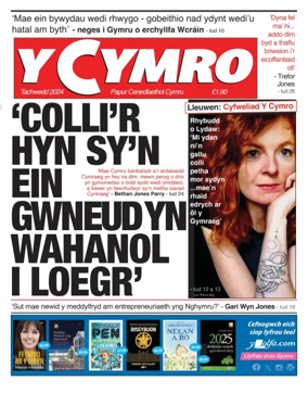Cover of Y Cymro