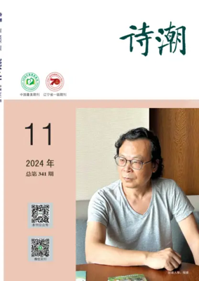 Cover of The Poetic Tide