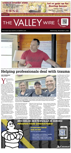 Cover of The Valley Wire