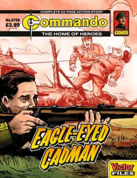 Cover of Commando