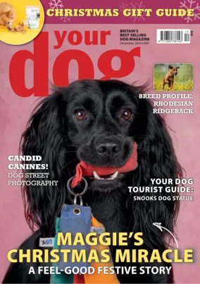 Cover of Your Dog