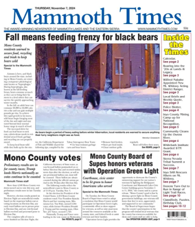 Cover of Mammoth Times