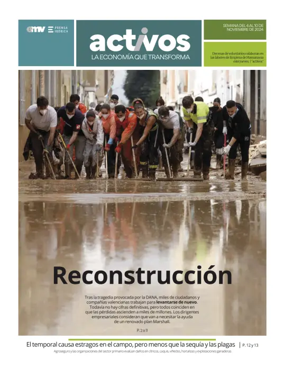 Cover of Activos
