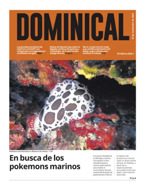 Cover of Dominical