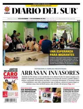 Cover of Diario del Sur