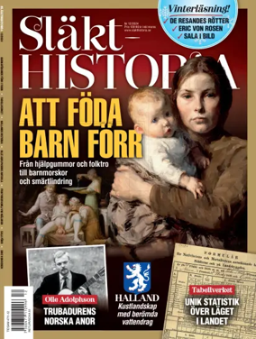 Cover of Släkthistoria