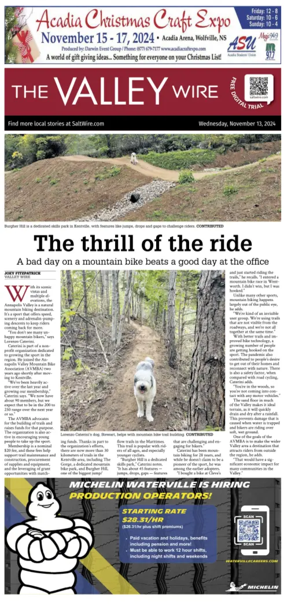 Cover of The Valley Wire