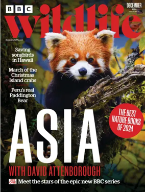 Cover of BBC Wildlife Magazine