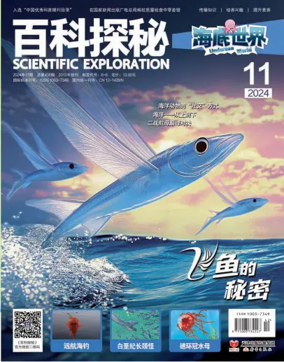 Cover of Scientific Exploration (Undersea World)