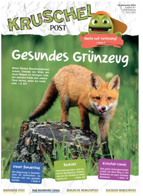 Cover of Kruschelpost