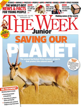 Cover of The Week - Junior