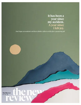 Cover of The New Review