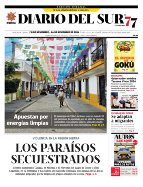 Cover of Diario del Sur