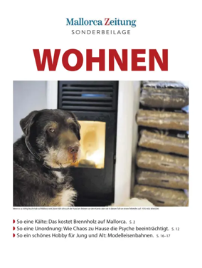 Cover of Suplemento 1