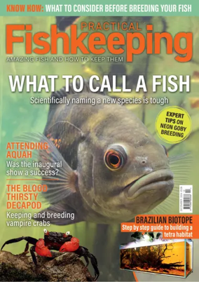 Cover of Practical Fishkeeping