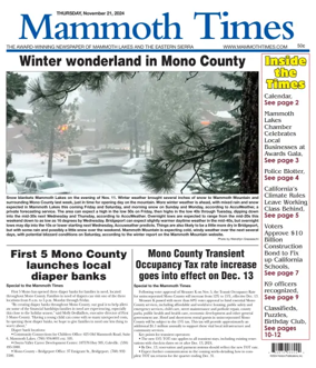 Cover of Mammoth Times