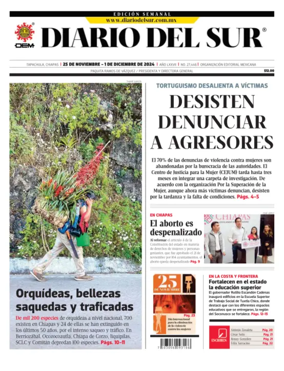 Cover of Diario del Sur