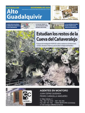 Cover of Alto Guadalquivir