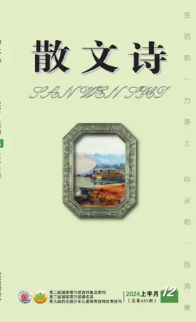 Cover of San Wen Shi