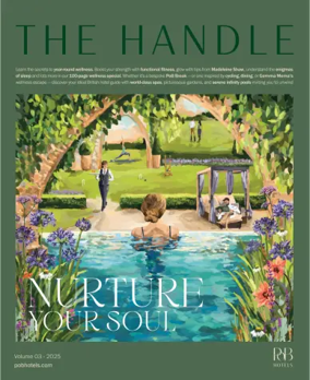 Cover of The Handle