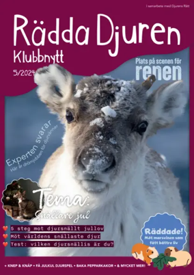 Cover of Radda Djuren