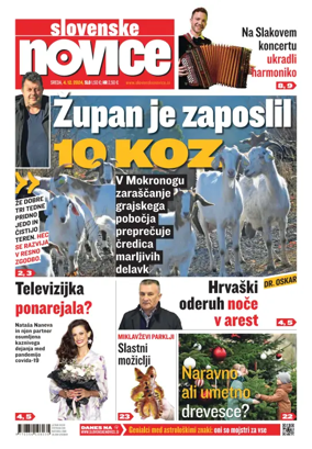Cover of Slovenske Novice